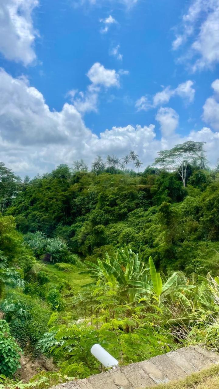 Solana Wellness Retreat Hotel Ubud Exterior foto